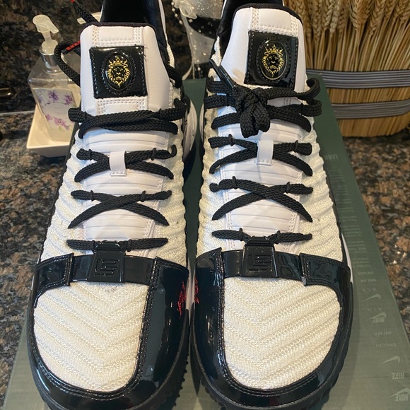 Nike Lebron xvi sb black n white shoes